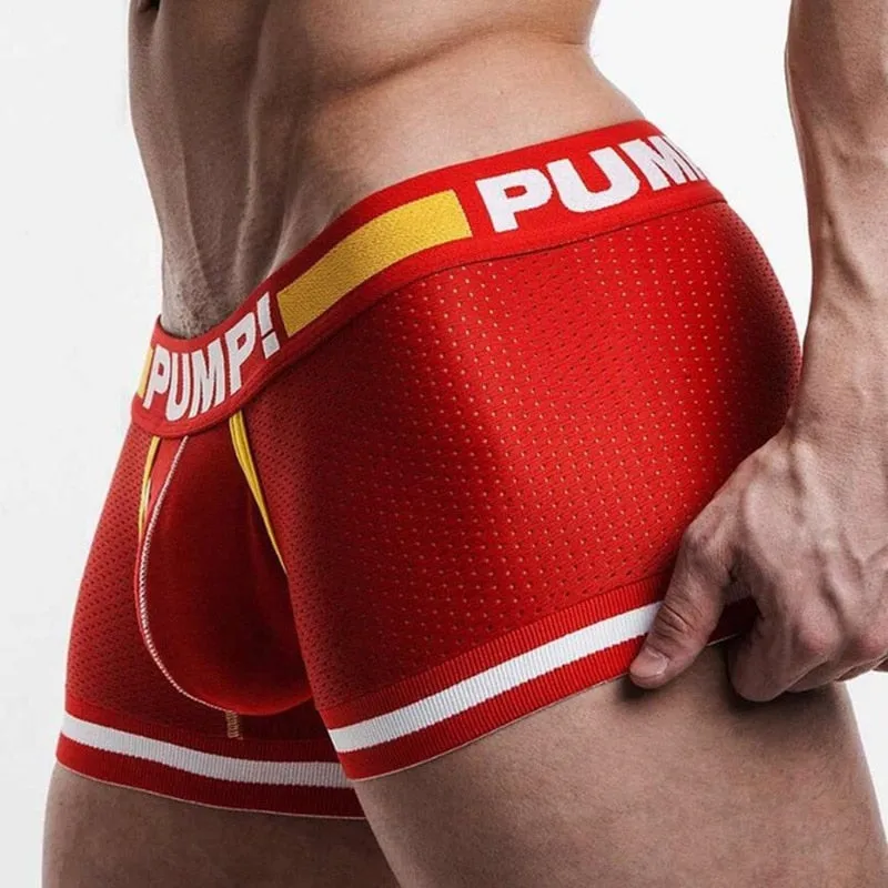 men Underwear Boxer Mesh boxers Sexy male boy underpants