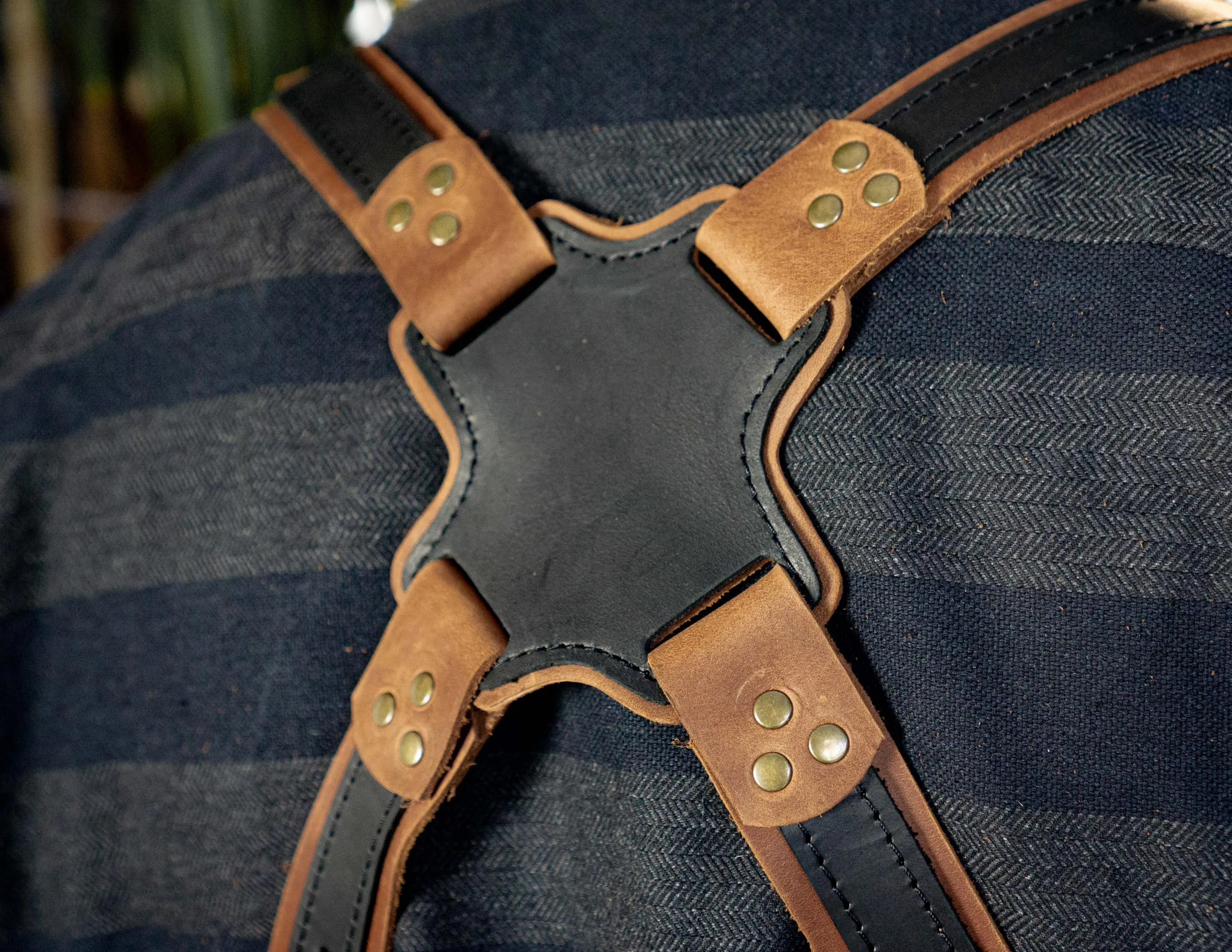 Dual Camera Harness | Top Quality Leather | Handmade | Personalized