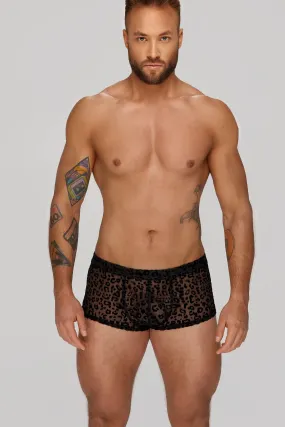 Leopard Flock Short-Shorts