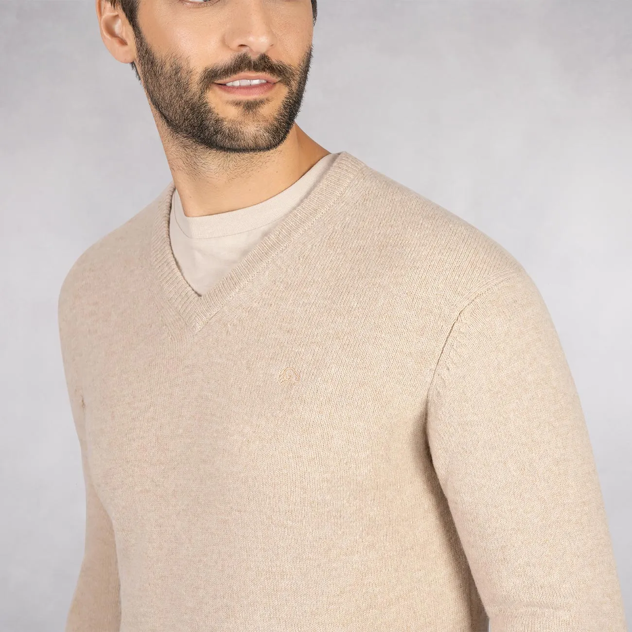 Wool Pullover V Neck Men